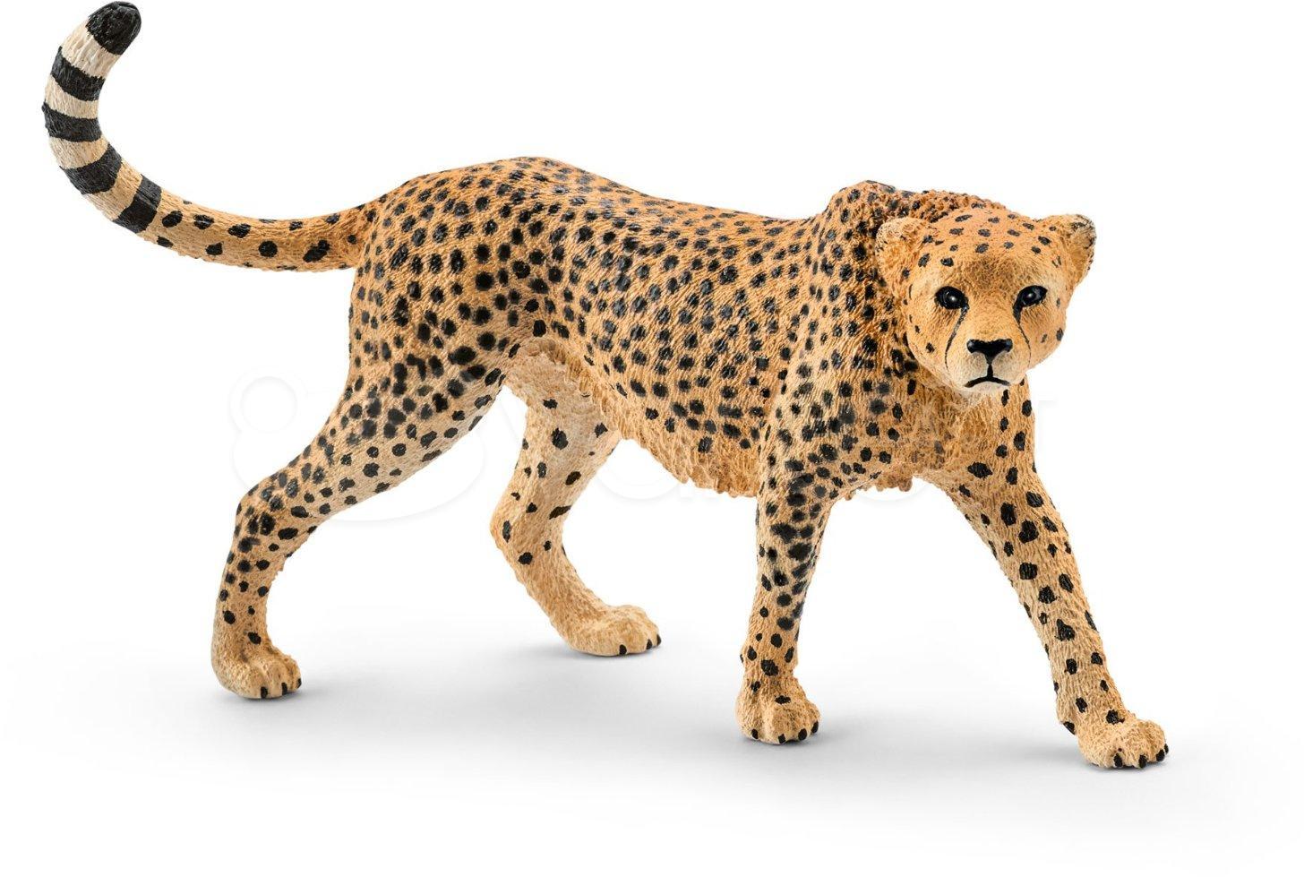 Schleich figūrėlė Gepardė aprašymas - Prekės nuotrauka