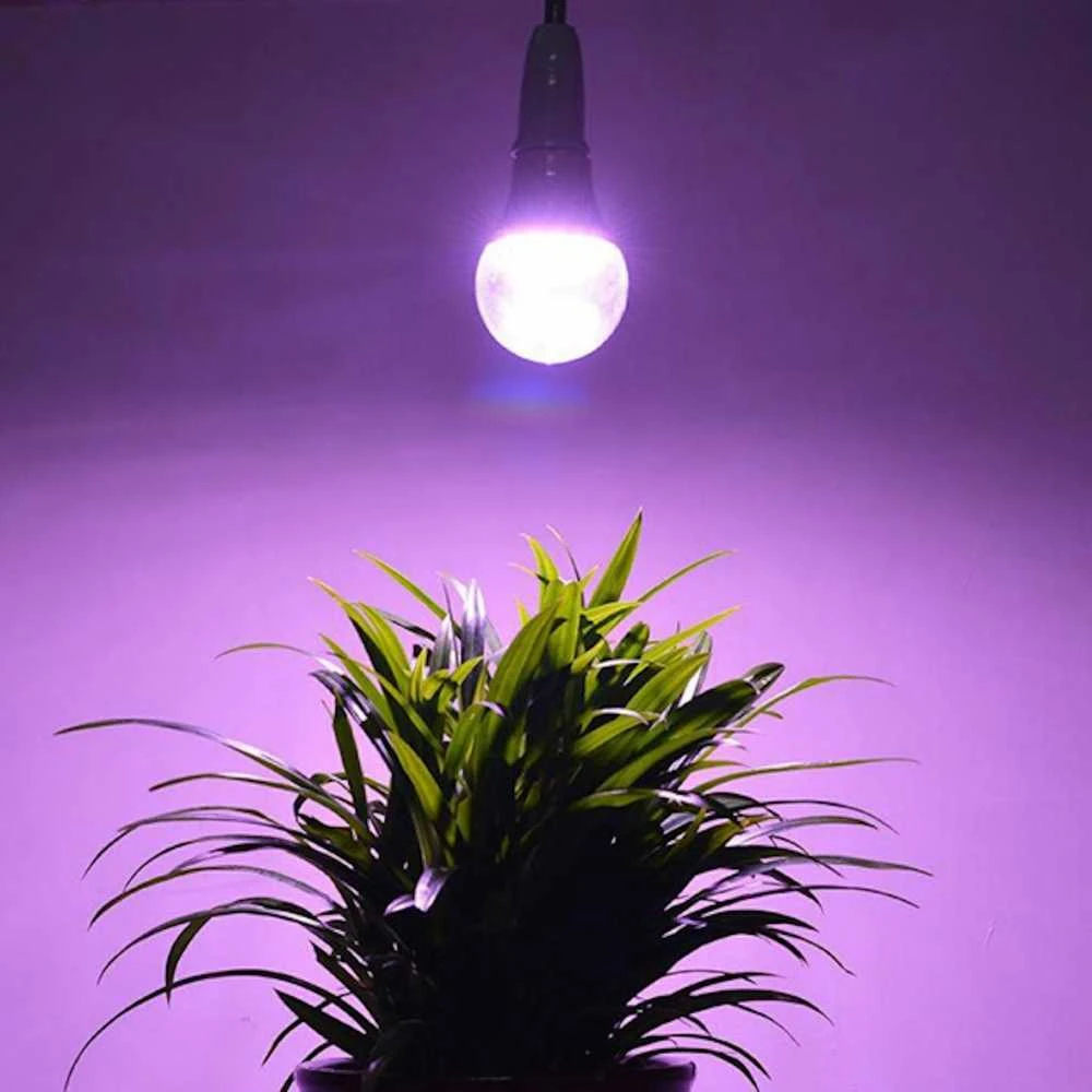 Visional LEMPA LED E27 12W AUGALAMS