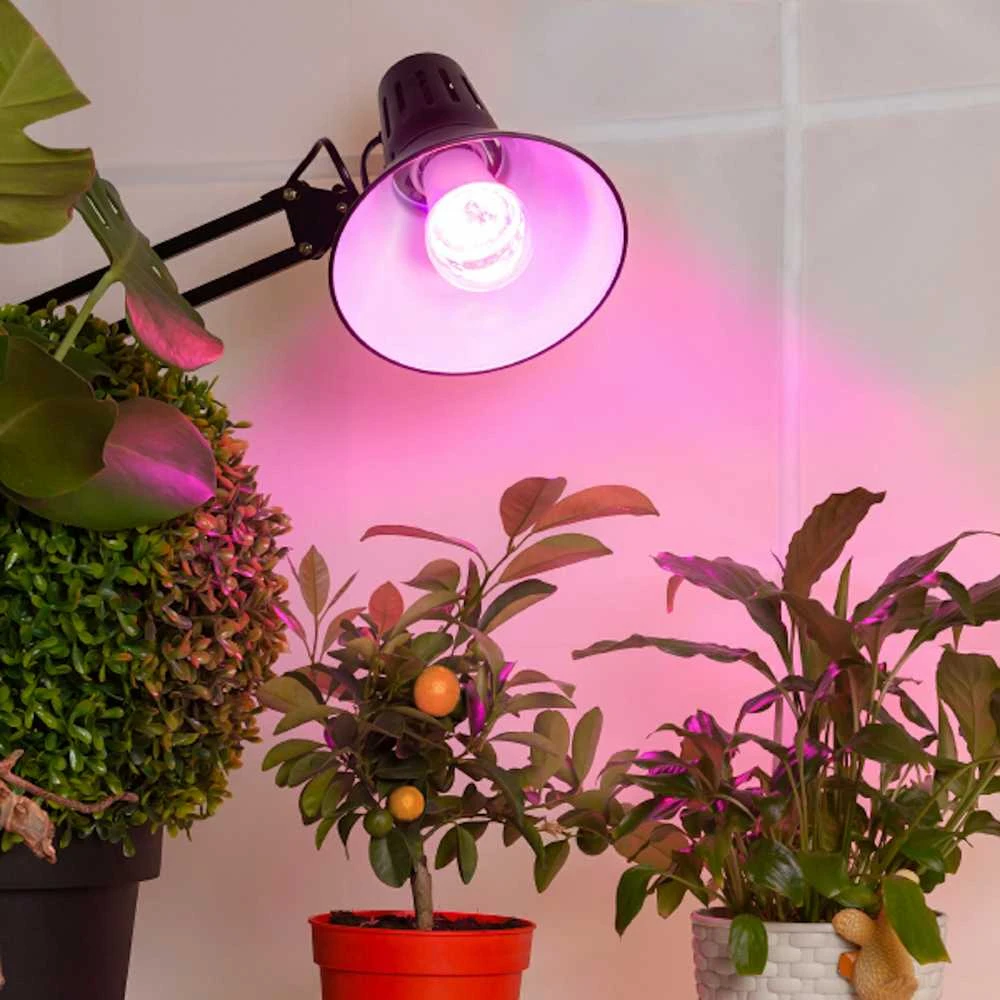 Visional LEMPA LED E27 12W AUGALAMS