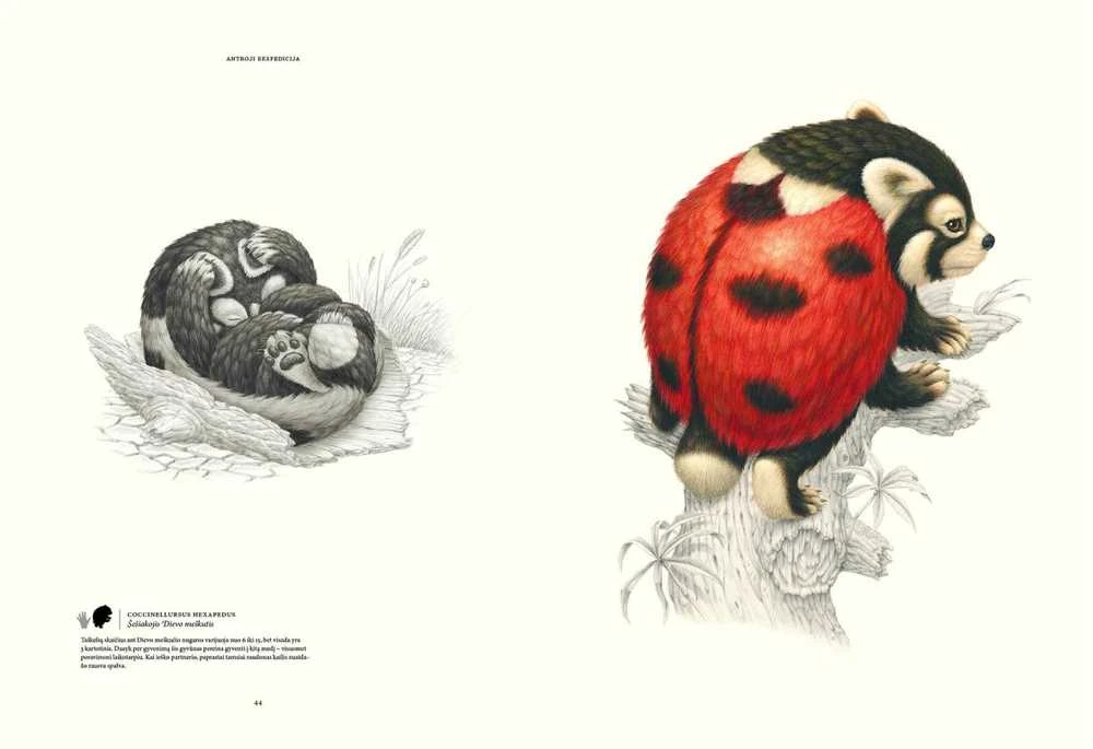 KNYGA Apkabink Menuli Terra Ultima. Nežinomo žemyno atradimas
