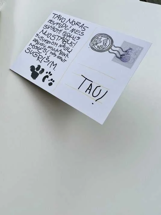 Apkabink Menuli Šioje knygoje nėra kačių