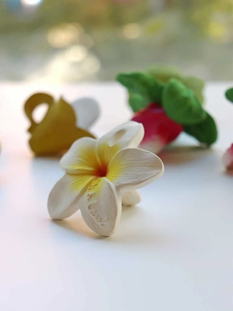 OLI&CAROL kramtukas HAWAII THE FLOWER
