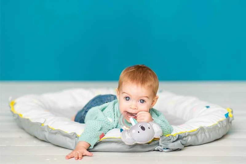 TAF TOYS barškutis KIMMY KOALA