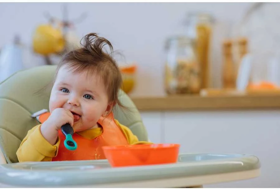 TOMMEE TIPPEE seilinukas ROLL N GO, 1 vnt.