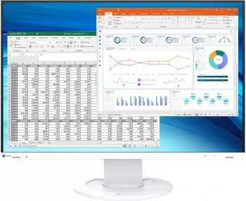Monitorius EIZO FlexScan EV2410R-WT - 75Hz | 1920 x 1200 | IPS | 24.1''