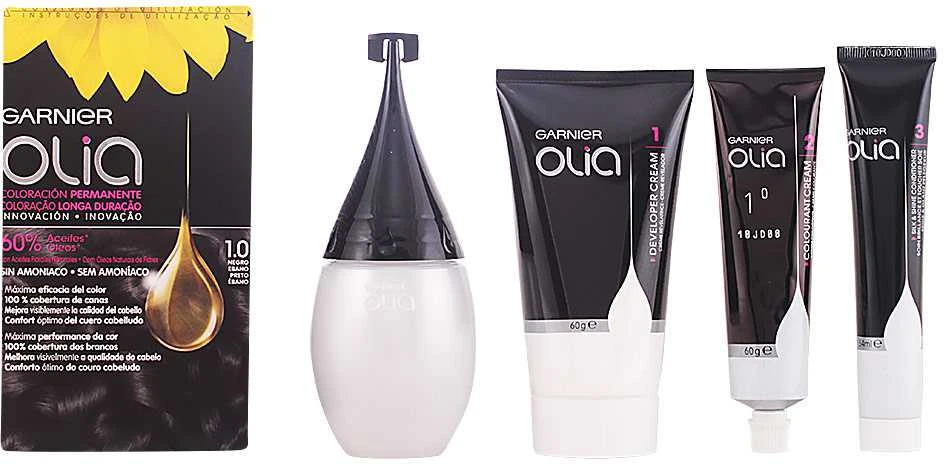 Garnier Olia 1,0 dažų komplektas su priedais
