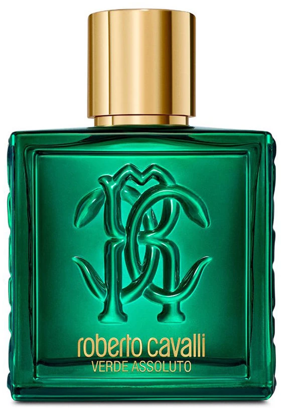 Roberto Cavalli Rc Uomo Verde Assoluto EDP, 100 ml