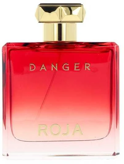 Roja Parfums Danger Pour Homme EDP parfumuotas vanduo vyrams, 100 ml