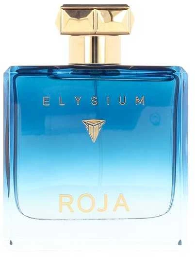 Roja Parfums Roja Elysium Pour Homme EDP parfumuotas vanduo vyrams, 100 ml