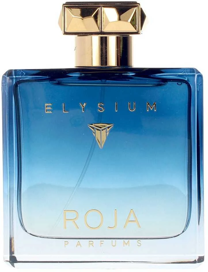Roja Parfums Elysium Pour Homme Cologne Eau De Parfum odelokolonas vyrams, 100 ml
