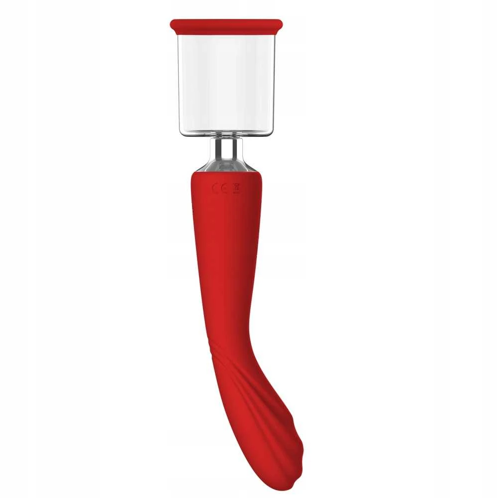 Dream Toys Dreamtoys RAUDONOJI REVOLIUCIJA GRUZIJOJE