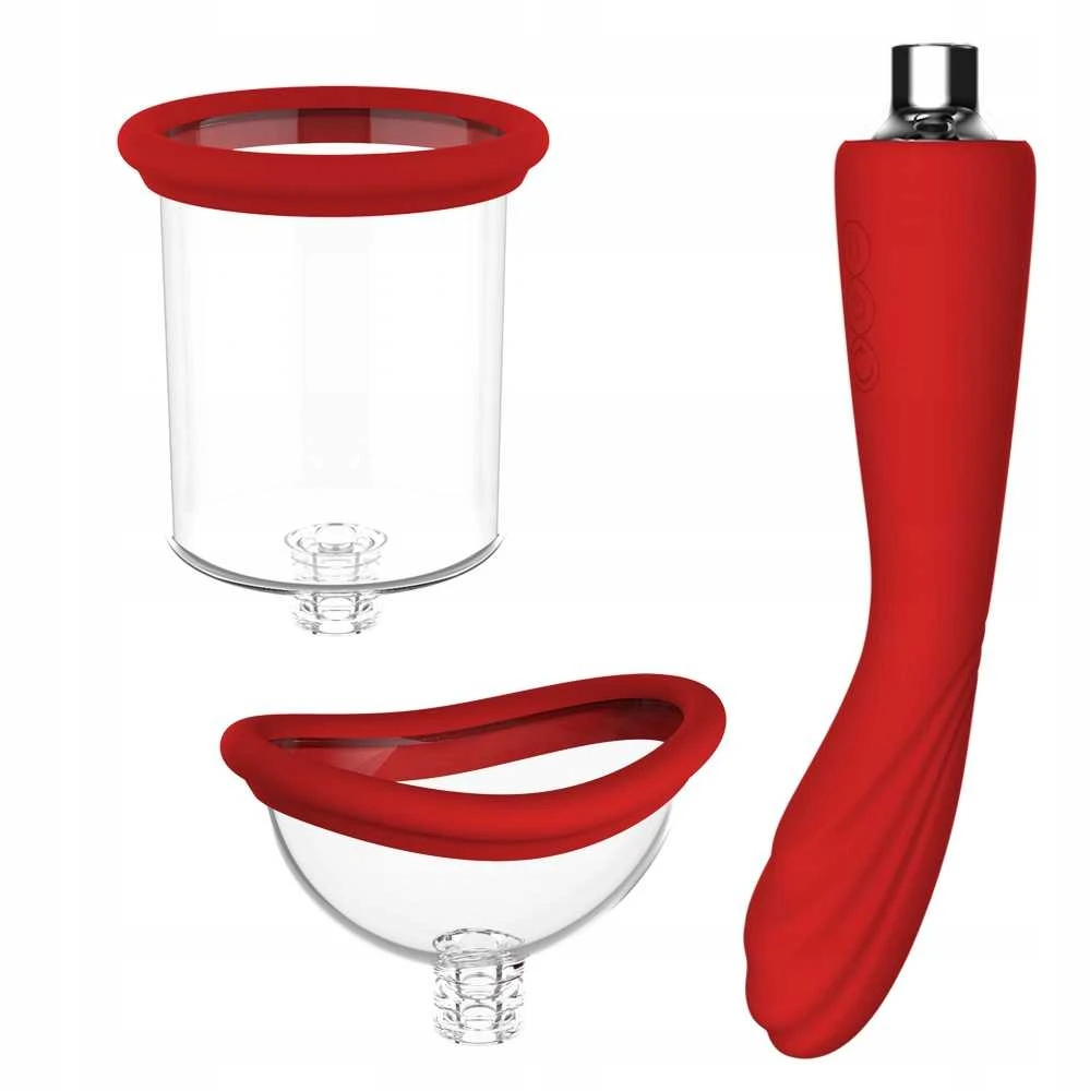 Dream Toys Dreamtoys RAUDONOJI REVOLIUCIJA GRUZIJOJE