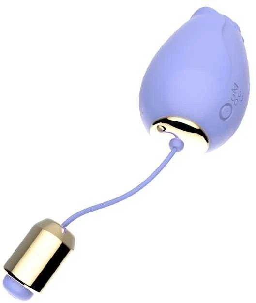 B Series Joy B serijos Joy Vibrating makšties kiaušinėlių masažuoklio nuotolinio valdymo pultas 9 režimai