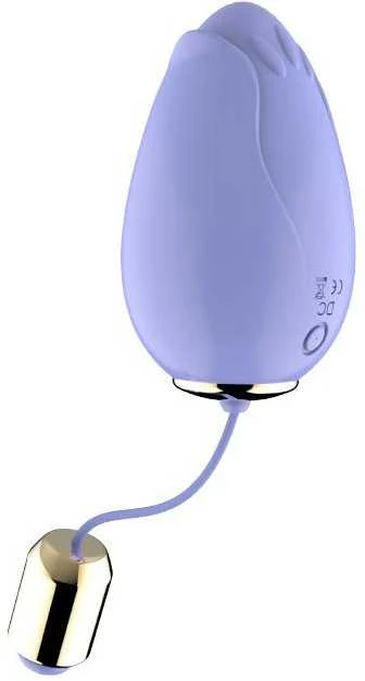 B Series Joy B serijos Joy Vibrating makšties kiaušinėlių masažuoklio nuotolinio valdymo pultas 9 režimai
