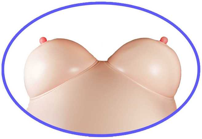 B Series Lyla B serijos Lyla Erotic 3D sekso lėlė pripučiama su masturbatoriumi