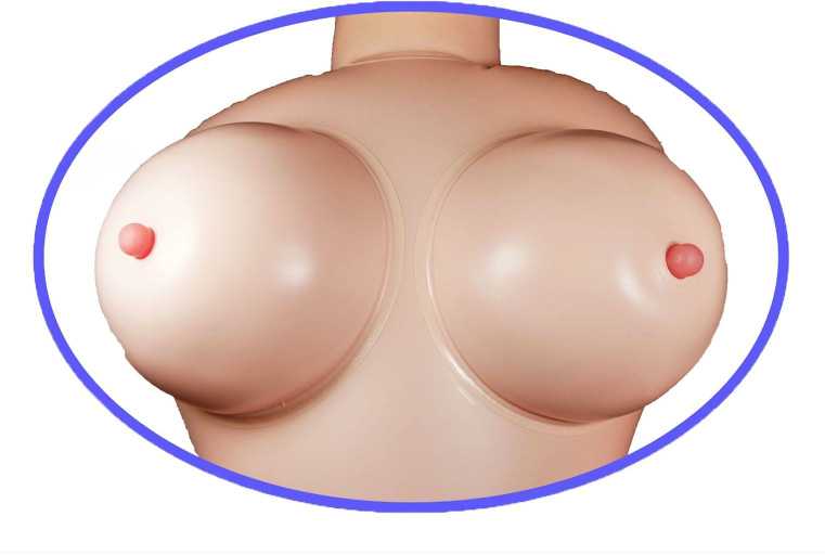B Series Lyla B serijos Lyla Erotic 3D sekso lėlė pripučiama su masturbatoriumi