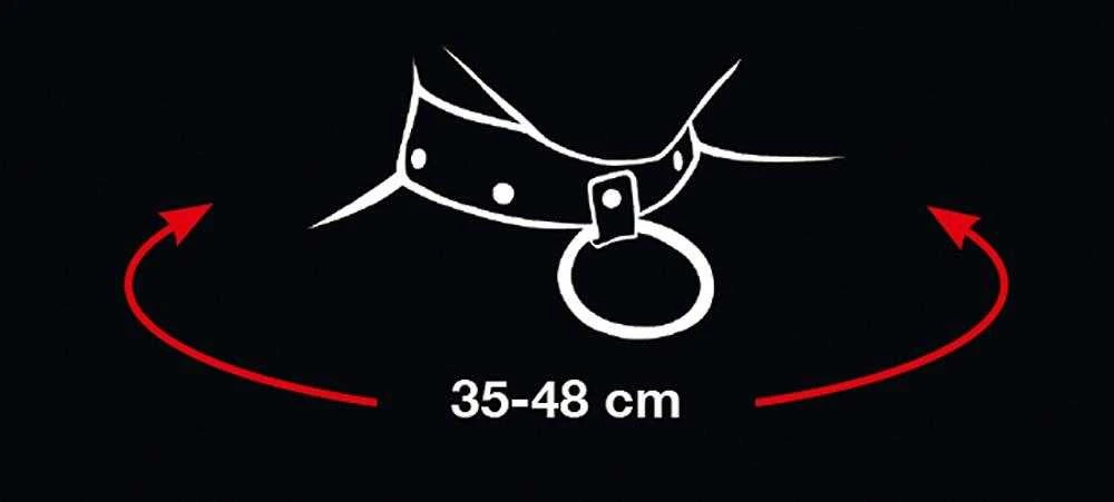 Bad Kitty Collar Antkaklis ir pavadėlis