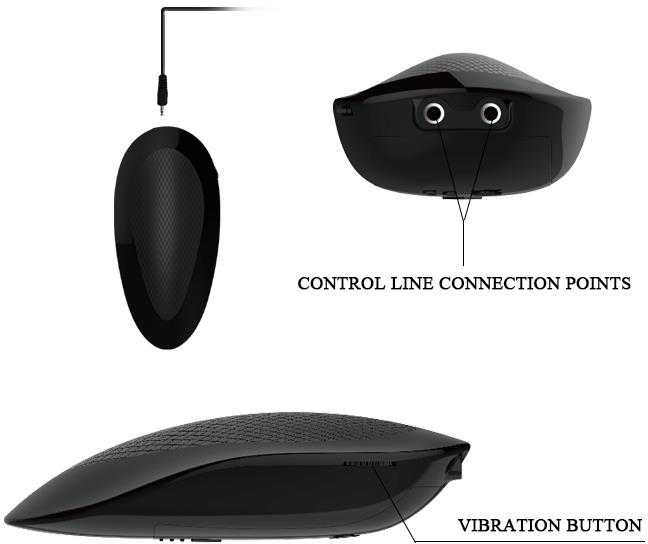 Baile Vibrators BAILE - Vibruojantis Dongas
