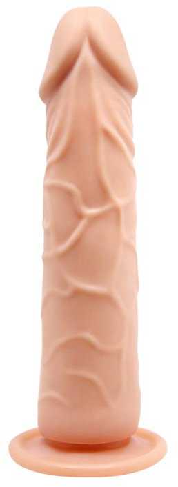 BAILE Realistiškas varpos dildo su siurbtuku, 20 cm