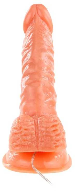 Baile Vibrators BAILE Vibruojantis styguotas tikroviškas penis su siurbtuku