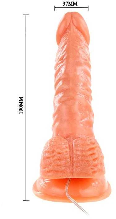 Baile Vibrators BAILE Vibruojantis styguotas tikroviškas penis su siurbtuku