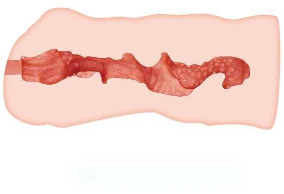 CRAZY BULL LINDA VAGINA MASTURBATOR 13,7 CM