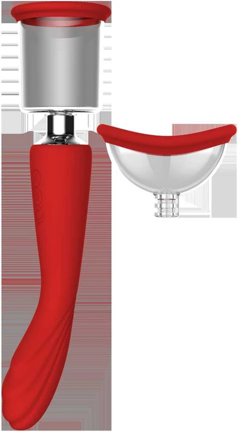 Dream Toys Dreamtoys RAUDONOJI REVOLIUCIJA GRUZIJOJE