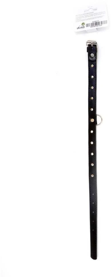 Fetish B Series Bdsm bondage dominantinė apykaklė 2cm odinė sidabrinė