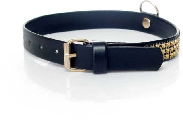 Fetish B Series Erotiniai auskarai fetišas auksino kristalai 2 cm