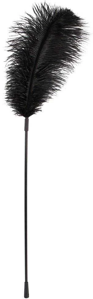 Juodas feather Bad Kitty