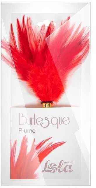 Raudona Burlesque plunksna pakuotėje