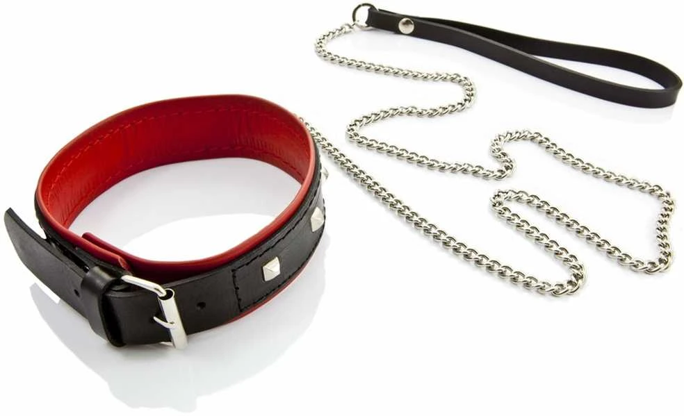 Whips Collections Dygliuota odinė bdsm apykaklė su pavadėliu