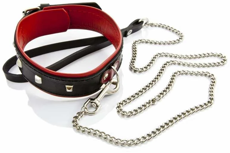Whips Collections Dygliuota odinė bdsm apykaklė su pavadėliu
