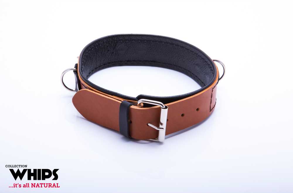 Whips Collections Bindings-WHIPS vergas antkaklis su pavadeliu, konjakas