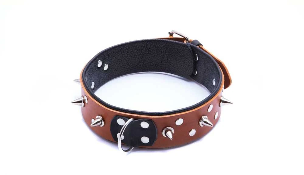 Whips Collections Bindings-WHIPS vyriška antkaklis su pavadėliu, konjakas