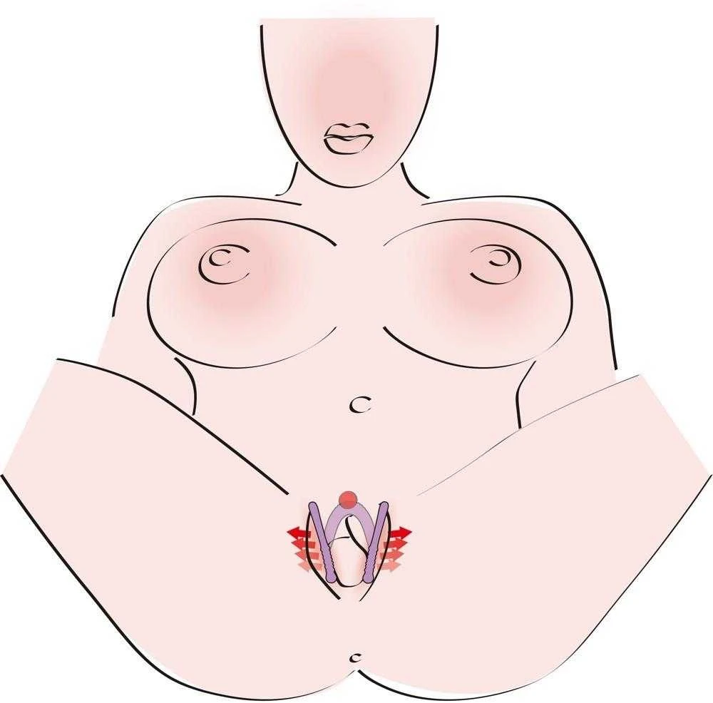 You2Toys Intimate Spreader Violetinė