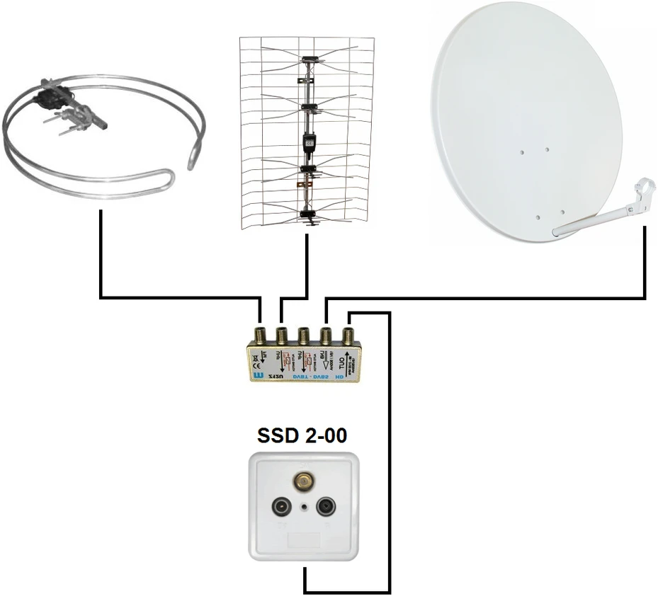Axing SSD2-00 RTV/SAT GALINIS LIZDAS