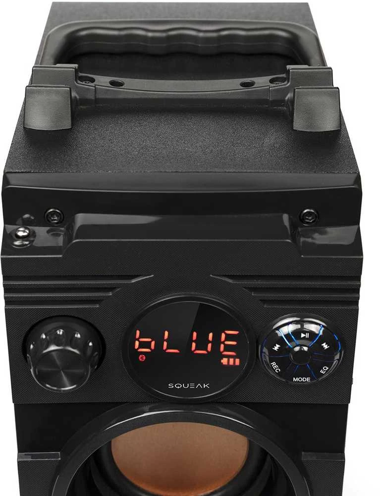 Nešiojama kolonėlė  Squeak  5.1 BassBlaster