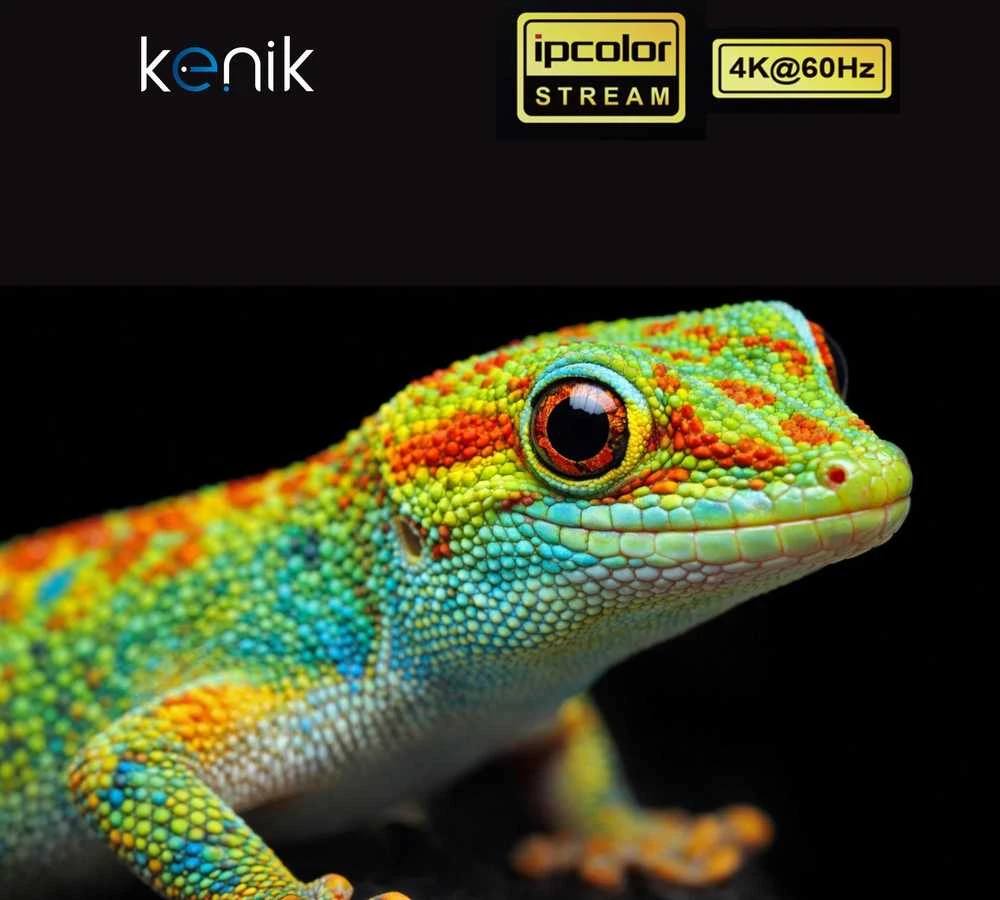 Belaidis HDMI ilgintuvas Kenik KG-EX20HDMI-W/4K6