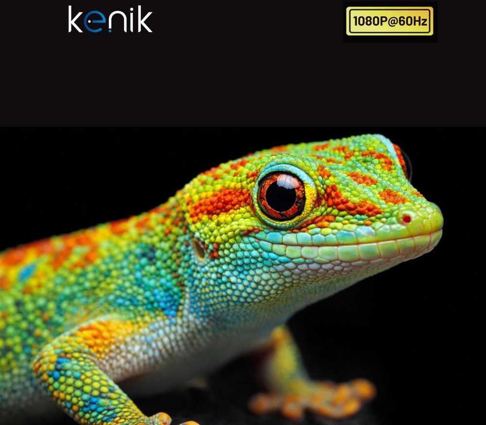 Belaidis HDMI ilgintuvas Kenik KG-EX20HDMI-W
