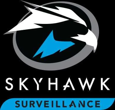 Disk HDD Seagate SkyHawk ST1000VX013 1TB