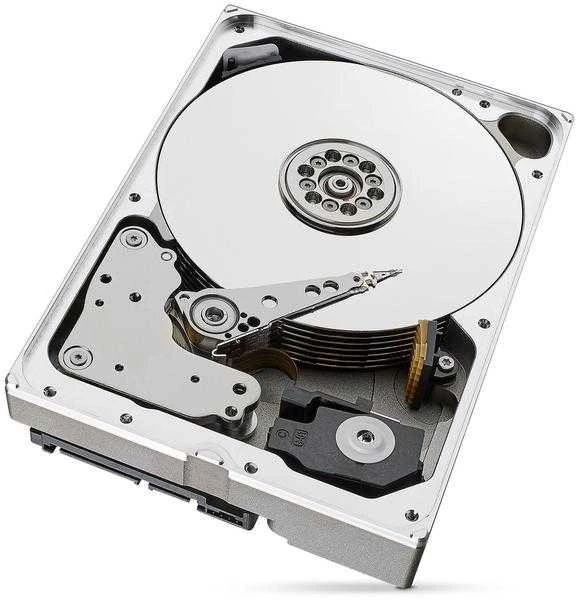 Kietasis diskas HDD Seagate SkyHawk AI 10TB