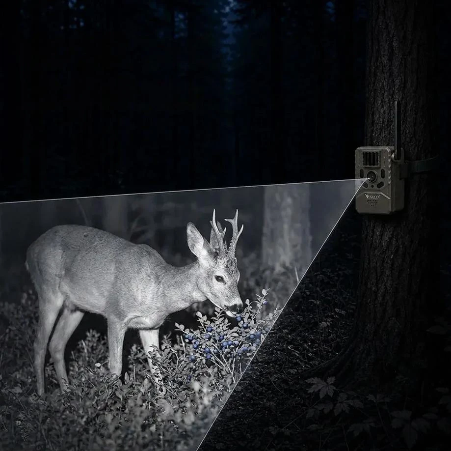 Fotopułapka - Kamera leśna - Orllo Huntercam 6 SIM su zasilaniem solarnym