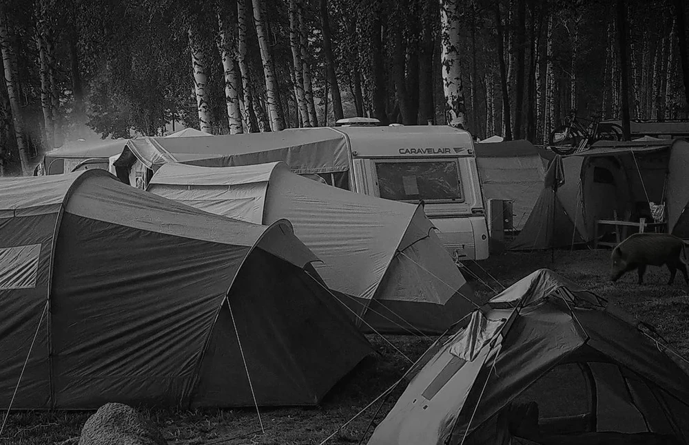 Fotopułapka - Kamera leśna - Orllo Huntercam 6 SIM su zasilaniem solarnym