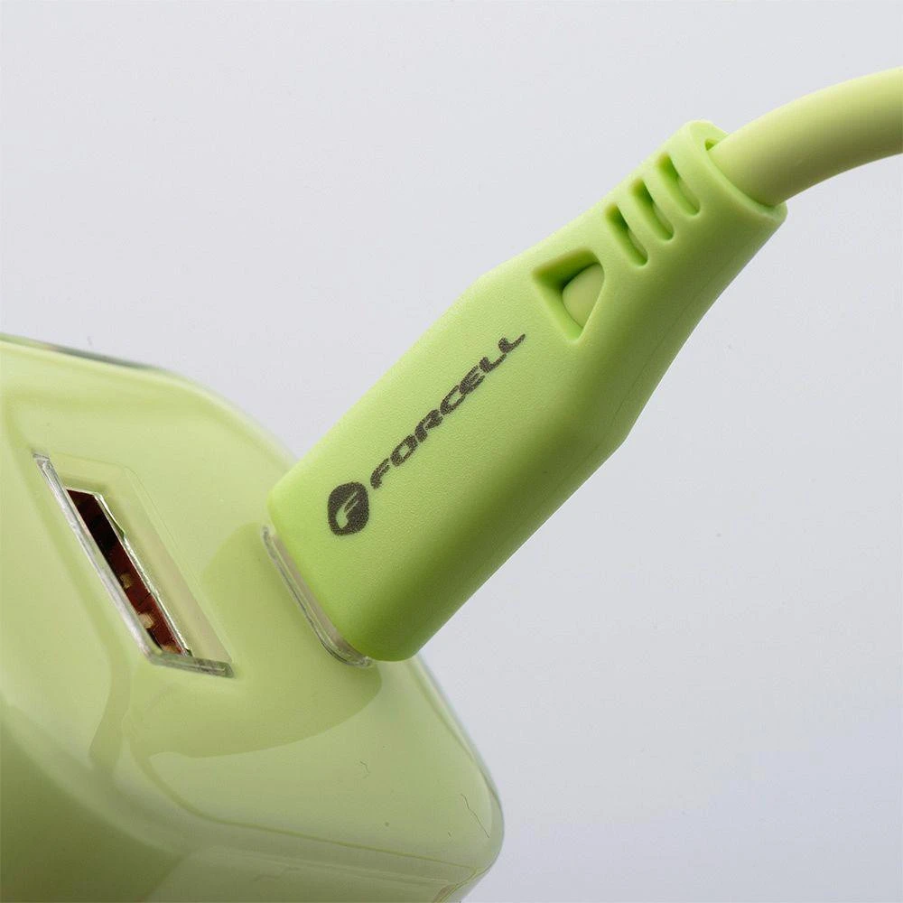 Telefono įkroviklis Forcell F-Energy GaN III Crystal Color USB C + USB A QC4.0 PD 33W + silikoninis laidas USB C į USB C VT-41 žalias