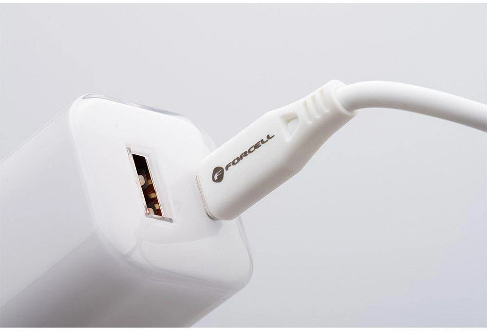 Telefono įkroviklis Forcell F-Energy GaN III Crystal Color USB C + USB A QC4.0 PD 33W + silikoninis laidas USB C į USB C VT-41 baltas 0INT