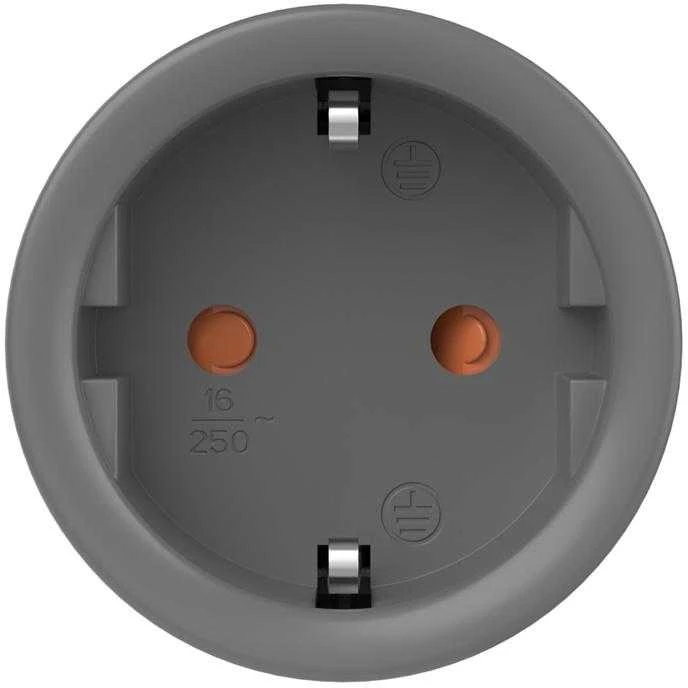 SONOFF S60 Zigbee išmanusis kištukas