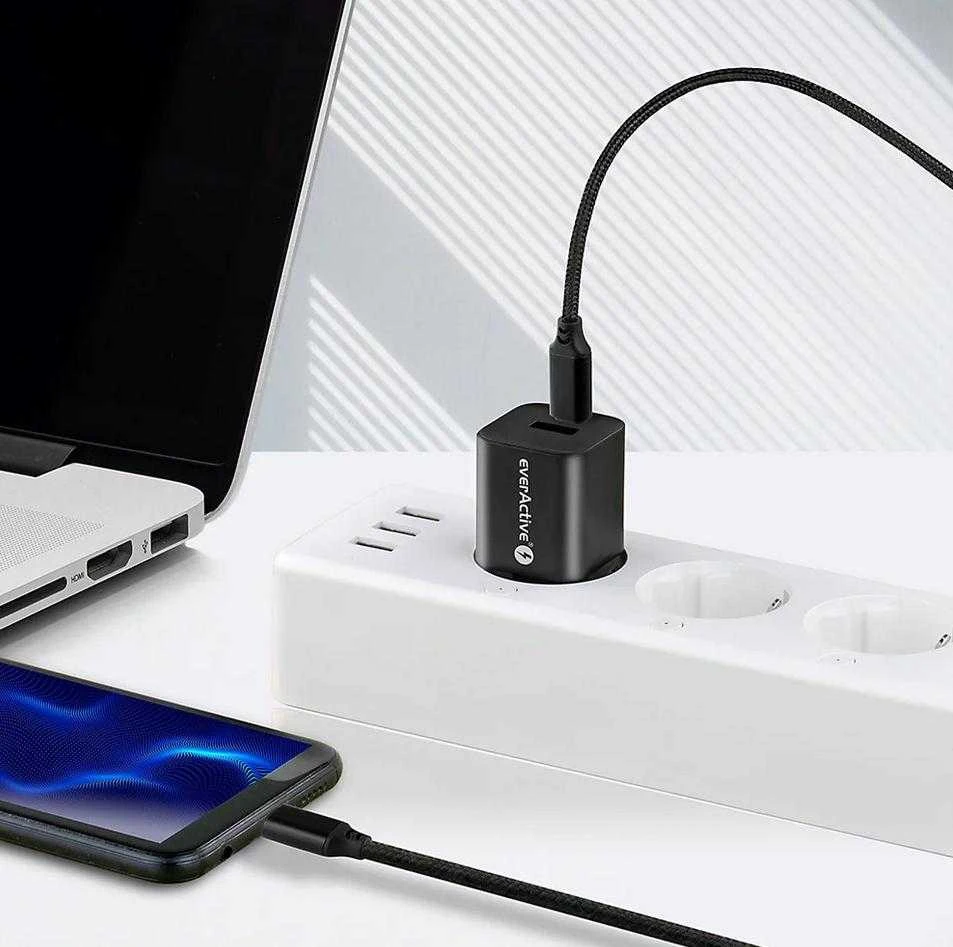 everActive 1m pintas PD kabelis USB-C - USB-C 3A 60W