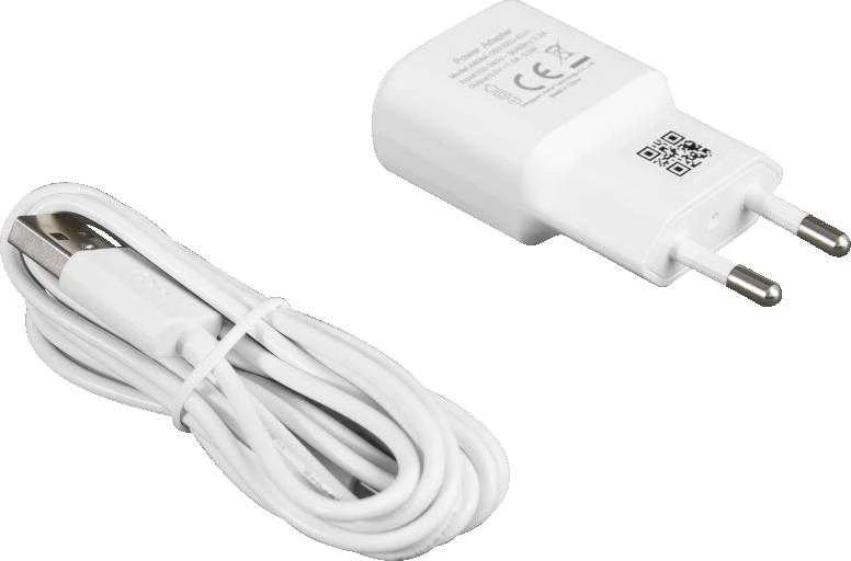 BCS LINE BCS-L-PTHOME03 vaizdo kamera
