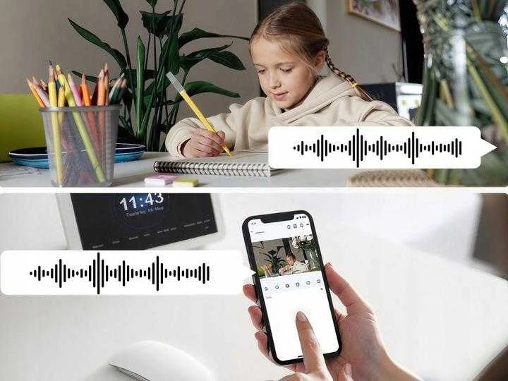 Reolink E Series E321